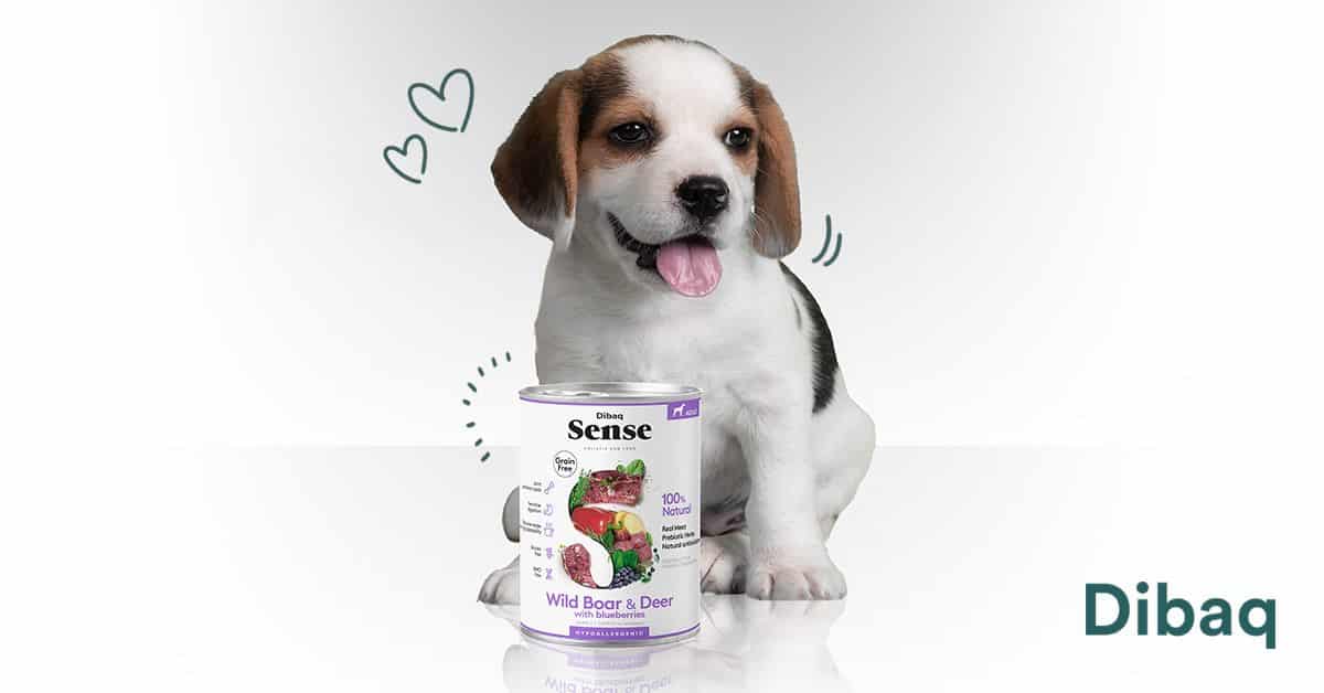 Sfeerbeeld YDOLO | Echt gezonde voeding, snacks & supplementen voor honden & katten