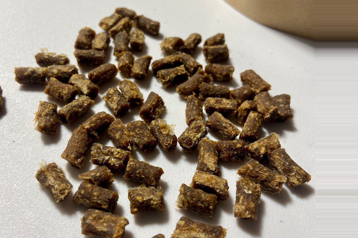 Image YDOLO | Aliments, collations et suppléments vraiment sains pour chiens et chats