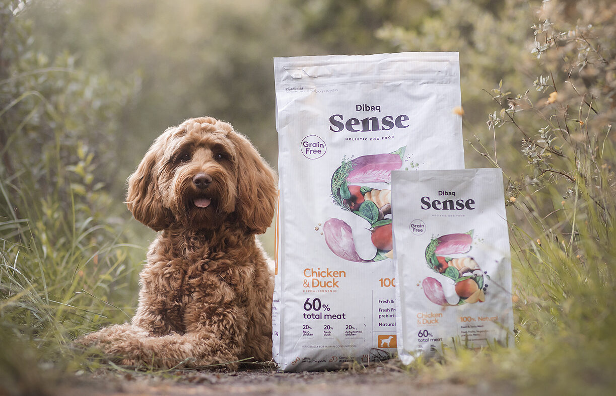 doodle labradoodle gezond hondenvoer ydolo dibaq sense