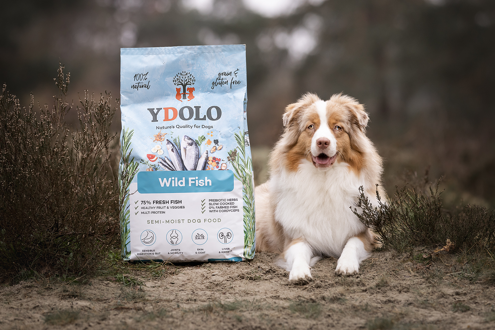 YDOLO Healthy & Pure Wild Fish